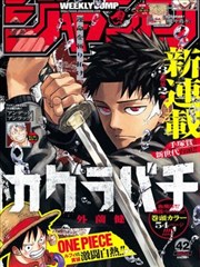 家庭伦理剧母亲的手账漫画图